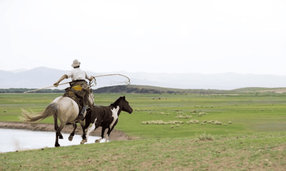 Mongolia Adventure Tours with Insights, Routes & What to Expect